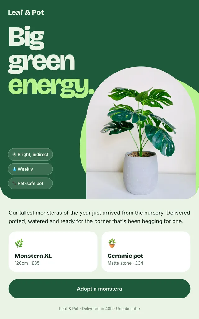 Leaf & Pot email: Big green energy